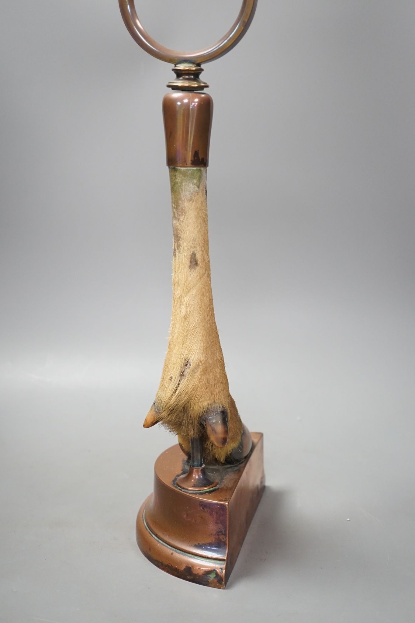 A Victorian taxidermic deer's hoof door-stop with copper cased base 48cm